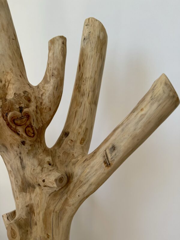 Arbre Piou réf PAR G0 – Image 3